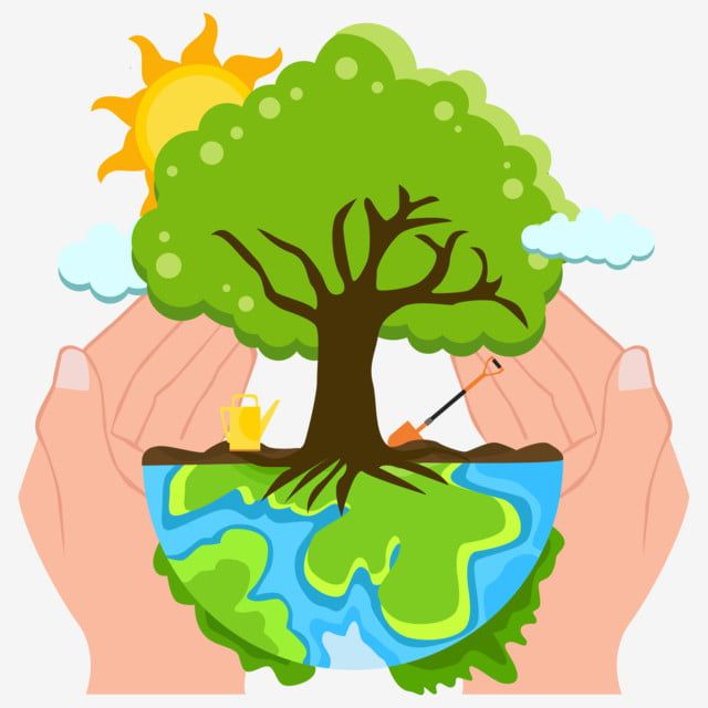 Pachamama Laundry Impact CEARE